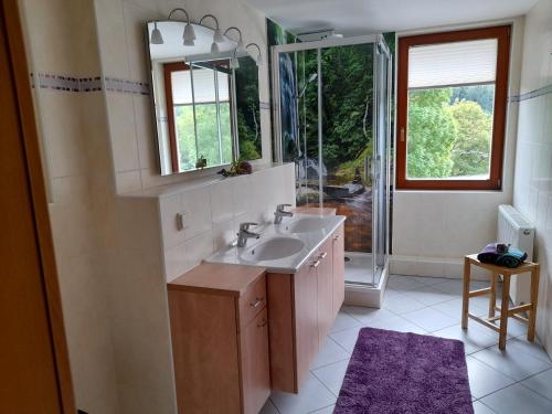 a bathroom with a sink and a mirror at Ferienwohnungen Herrmann in Bad Schandau