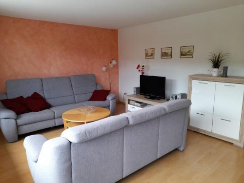 a living room with a couch and a tv at Ferienwohnungen Herrmann in Bad Schandau