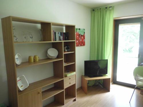 uma sala de estar com uma estante de livros e uma televisão em Ferienwohnung Oberkirchen em Schmallenberg