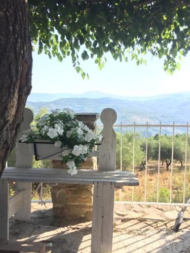 Φυσικό τοπίο κοντά σε αυτό το bed & breakfast