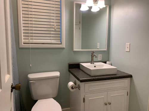 a bathroom with a toilet and a sink and a mirror at Beach Bum Paradise Edisto Beach with Pool in Edisto Island