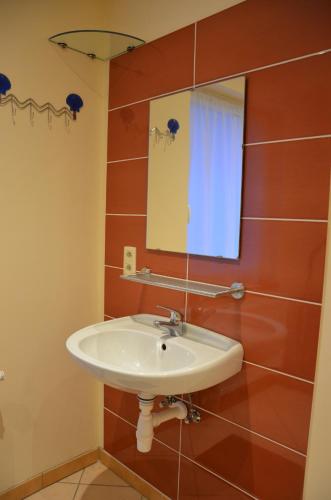 bagno con lavandino e specchio di L’Abri a La-Roche-en-Ardenne