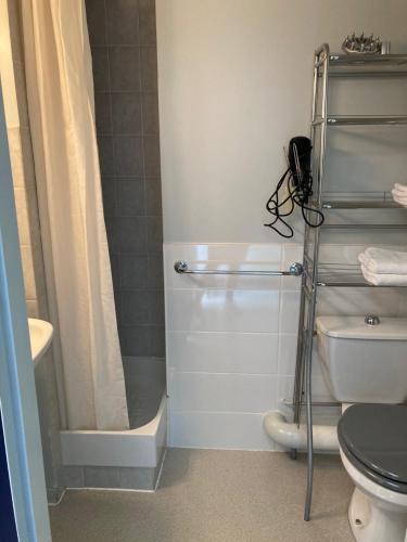 een kleine badkamer met een douche en een toilet bij Le Jorjane in Choranche