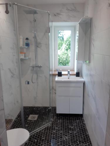 a bathroom with a sink and a shower and a toilet at Tammelinna house, 3 bedroom + living room in Tartu