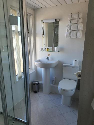 a bathroom with a toilet and a sink at The Dudley Hotel in Blackpool