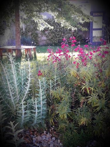 Taman di luar B&B chez Annie
