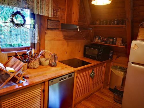 a kitchen with a refrigerator and a stove top oven at Gierkówka - Górska Rezydencja Pierwszego Sekretarza in Zwardoń