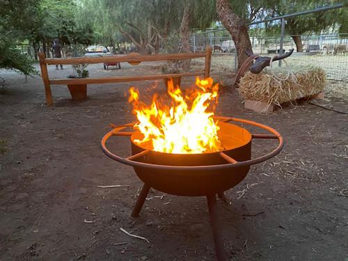 a fire pit in a park with a bench at The Pony Experience; Glamping with Private Petting Zoo in Temecula