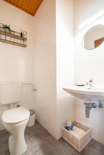 a bathroom with a toilet and a sink at Haus Frank & Sophie in Feldkirchen in Kärnten