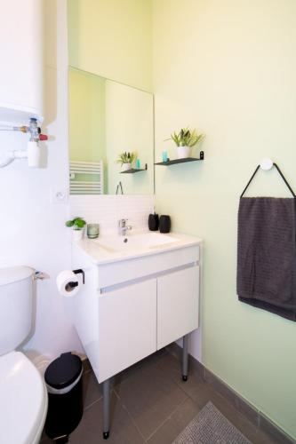 une salle de bain avec un lavabo, des toilettes et un miroir dans l'établissement LE BRIENNE - HYPERCENTRE - TBS - NETFLIX, à Toulouse