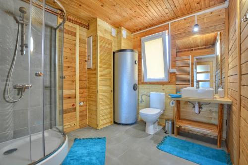 a bathroom with a shower and a toilet and a sink at W dolinie Sanu in Lesko