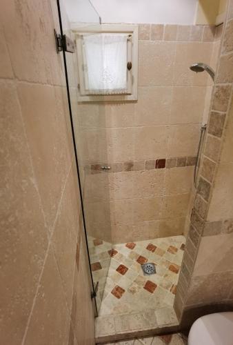 een badkamer met een douche, een toilet en een raam bij Ca della Pietà in Venetië