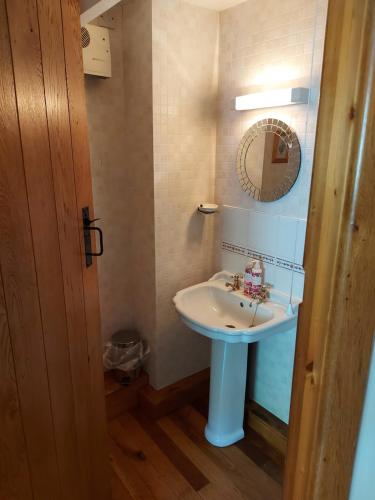 a bathroom with a sink and a mirror at Bryn Sion Farm in Dinas Mawddwy