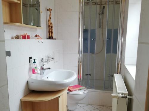 uma casa de banho com um lavatório, um chuveiro e um WC. em Alte Forsterei em Altenbrak