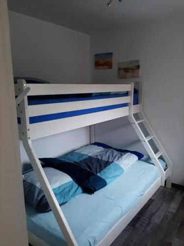 a bunk bed with a ladder on the bottom bunk at Haus Heimathafen in Süssau