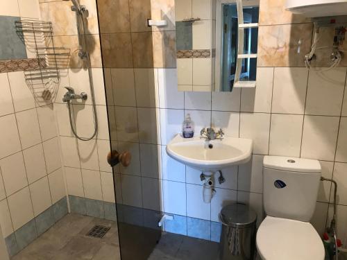 a bathroom with a toilet and a sink and a shower at Sea & BBQ apartment , 2nd floor in Liepāja