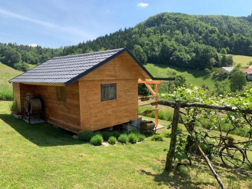 a small cabin in the middle of a field at Hillside Bio Resort Delux Apartments in Šešče pri Preboldu