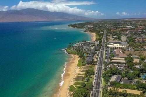 Uma vista aérea de Maui Banyan