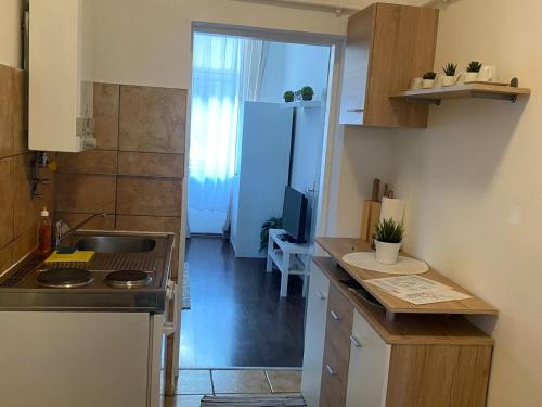 Rover Apartment