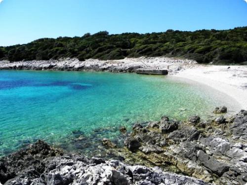 a beach with blue water and a rocky shore at ILOVIK FLOWER in Ilovik
