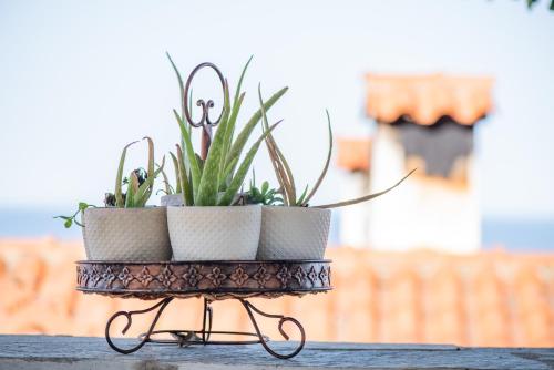 a plant holder with two plants on top of it at Aegean Blue - Villas Stivachtis in Agios Ioannis Pelio