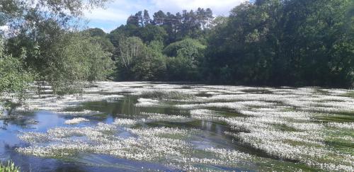 Afbeelding uit fotogalerij van La casa del tio Antonio in Taboy