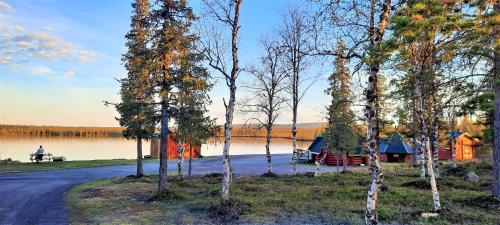 a group of trees in front of a lake at Camp Alta Kiruna in Kiruna