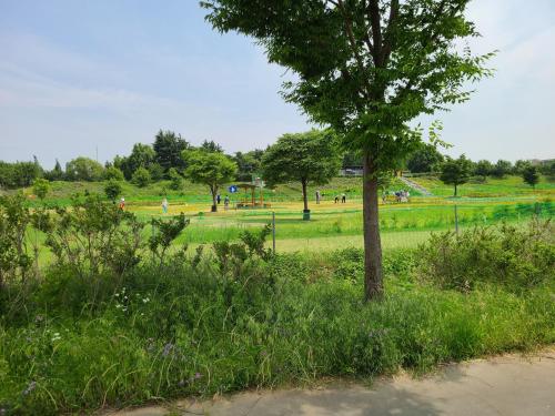 a park with a tree and people in a field at Chenal Motel in Daegu