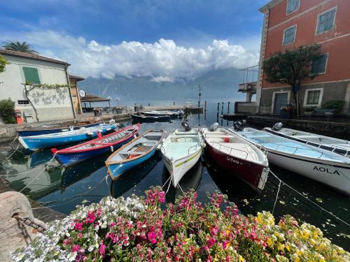 a group of boats docked in a harbor with flowers at B&B Casa Limone in Limone sul Garda