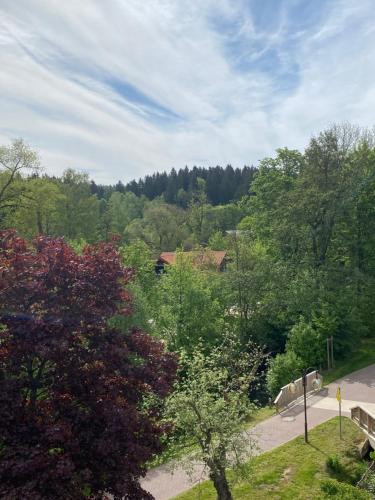a view of a park with benches and trees at Hotel Braunlage in Braunlage