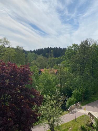 a view of a park with trees and a road at Hotel Braunlage in Braunlage