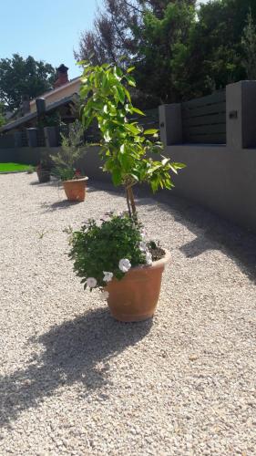Apartman Nicolle