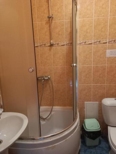 een badkamer met een douche, een wastafel en een toilet bij Садиба "Коренюки" in Tatariv