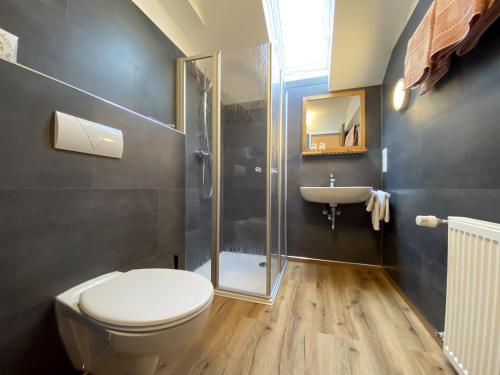 een badkamer met een toilet, een douche en een wastafel bij Gästehaus Elisabeth in Poppenhausen