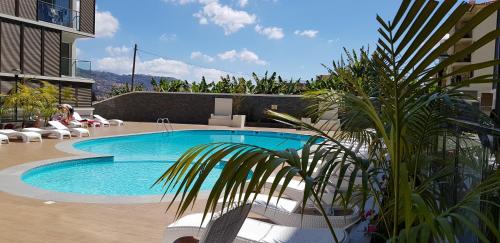 a swimming pool with chairs and a palm tree next to a building at 1 Bed Apartment Sleeps 4 with Pool in Santo António