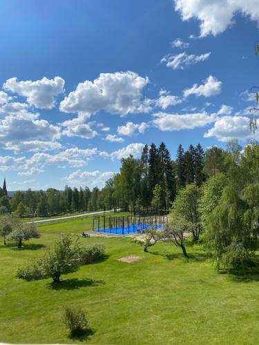 Bergsgården Hotell & Konferens في Bergsgården: حديقة بها مسبح في وسط الميدان