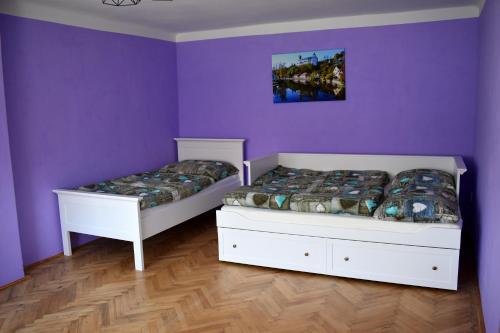 BujanovにあるPENSION NA BORŮVKOVÉM VRŠKUの紫の壁のドミトリールーム ベッド2台