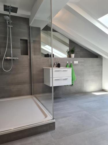 a bathroom with a shower with a white drawer and a sink at Apartmenthaus Luise in Bad Schandau