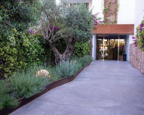 a walkway leading to a building with a tree at Apartaments B-Llobet Sun & Confort in Ibiza Town