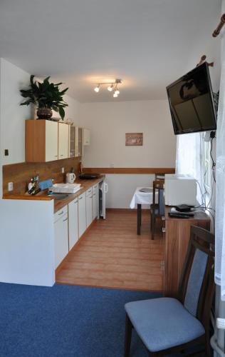 a kitchen with a sink and a tv in a room at Penzion Zelinka in Kořenov