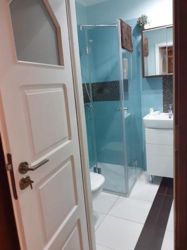 a bathroom with a glass shower and a toilet at KWATERA in Gdańsk