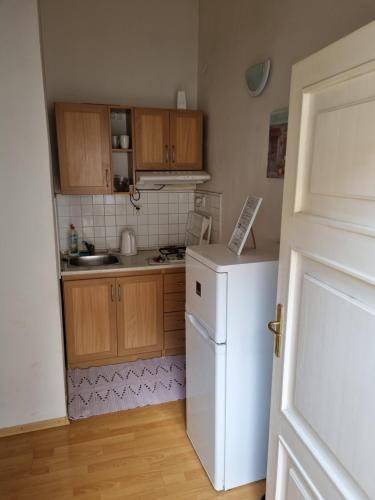 a kitchen with a white refrigerator and wooden cabinets at Little Duomo in Košice