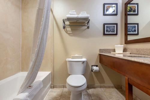 a bathroom with a toilet and a shower and a sink at Comfort Inn & Suites Farmington - Victor in Farmington