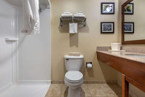 Koupelna v ubytování Comfort Inn & Suites Farmington - Victor