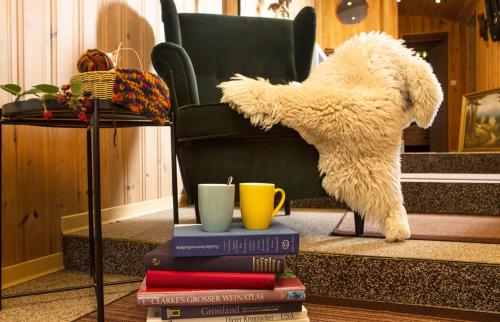 a teddy bear is standing on a stack of books at Pension Haus Fürstenberg in Grünhain-Beierfeld