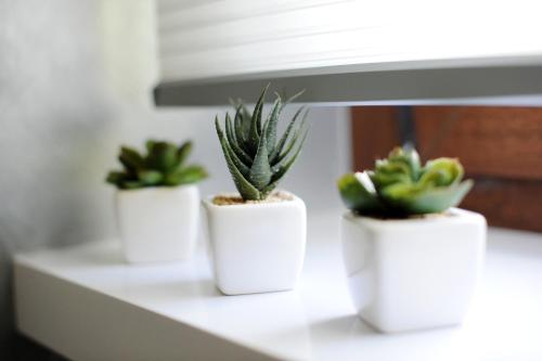 three plants in white pots sitting on a shelf at Feel Good Penthouse With Jacuzzi in Zadar