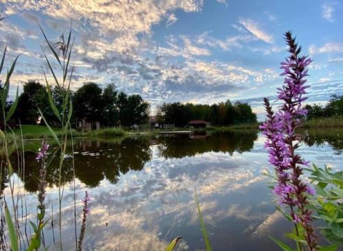 a view of a lake with a cloudy sky at István Parkhotel és Gasztrofarm in Sormás