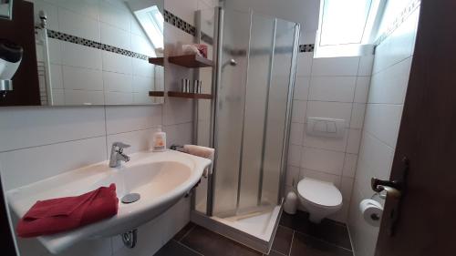 エルンストにあるHaus Weingarten APPARTEMENTS-ZIMMERのバスルーム(シンク、シャワー、トイレ付)