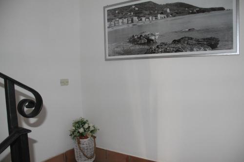 Φωτογραφία από το άλμπουμ του Donna Lea σε Cittadella del Capo