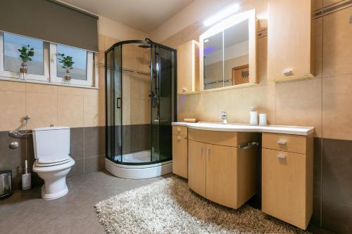 a bathroom with a shower and a toilet and a sink at Family Heritage in Crikvenica